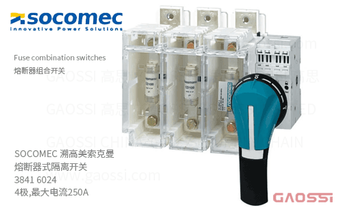 SOCOMEC 溯高美 索克曼 熔断器式隔离开关 3841 6024 4极,最大电流250A 熔断器组合开关