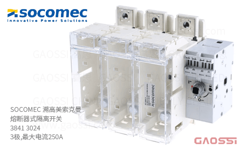 SOCOMEC 溯高美 索克曼 熔断器式隔离开关 3841 3024 3极,最大电流250A 熔断器组合开关