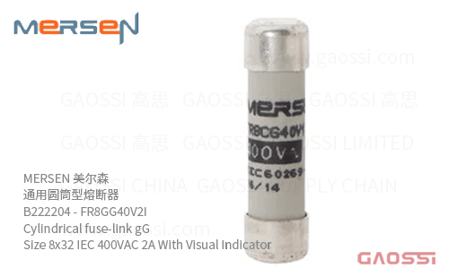 MERSEN 美尔森 通用圆筒型熔断器 B222204 – FR8GG40V2I Cylindrical fuse-link gG Size 8×32 IEC 400VAC 2A With Visual Indicator