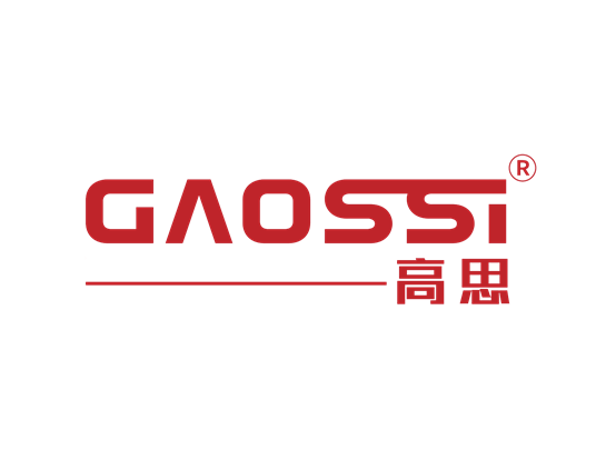 GAOSSI高思 带R标