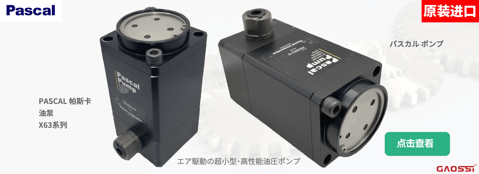 PASACAL OIL PUMP X63 - GAOSSI CHINA