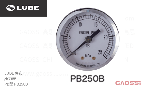 LUBE 鲁布 压力表 PB型 PB250B