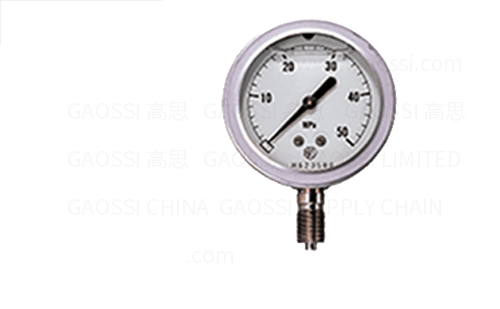 LUBE 鲁布 压力表 GV型 GV50-R, 500649